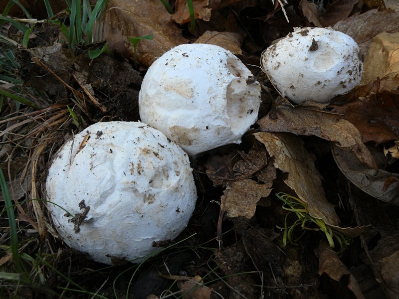 Forse l''ultima bellissima giornata..!!